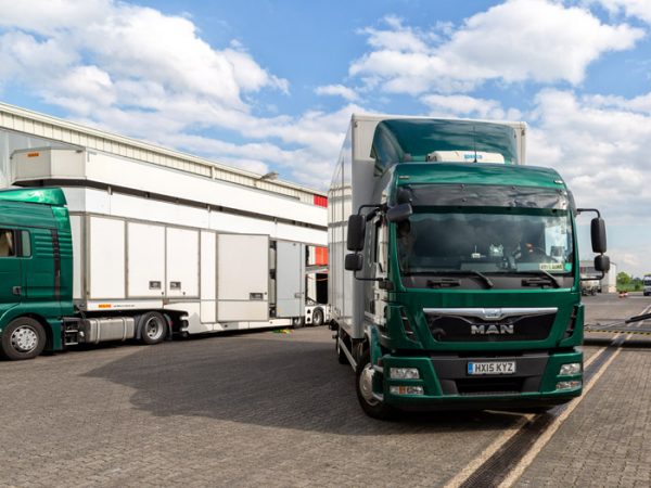 Transporte-Reitermodul-700x525-02